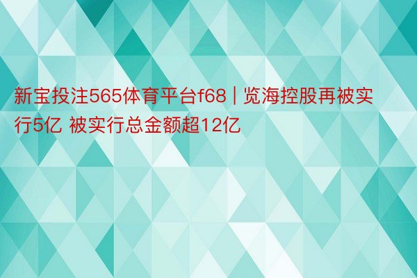 新宝投注565体育平台f68 | 览海控股再被实行5亿 被实行总金额超12亿