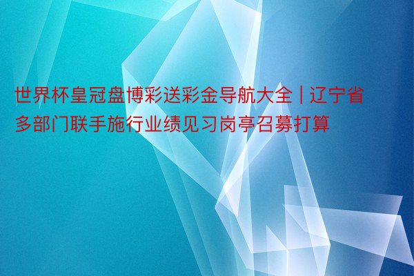 世界杯皇冠盘博彩送彩金导航大全 | 辽宁省多部门联手施行业绩见习岗亭召募打算