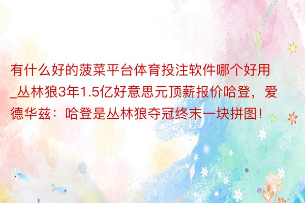 有什么好的菠菜平台体育投注软件哪个好用_丛林狼3年1.5亿好意思元顶薪报价哈登，爱德华兹：哈登是丛林狼夺冠终末一块拼图！